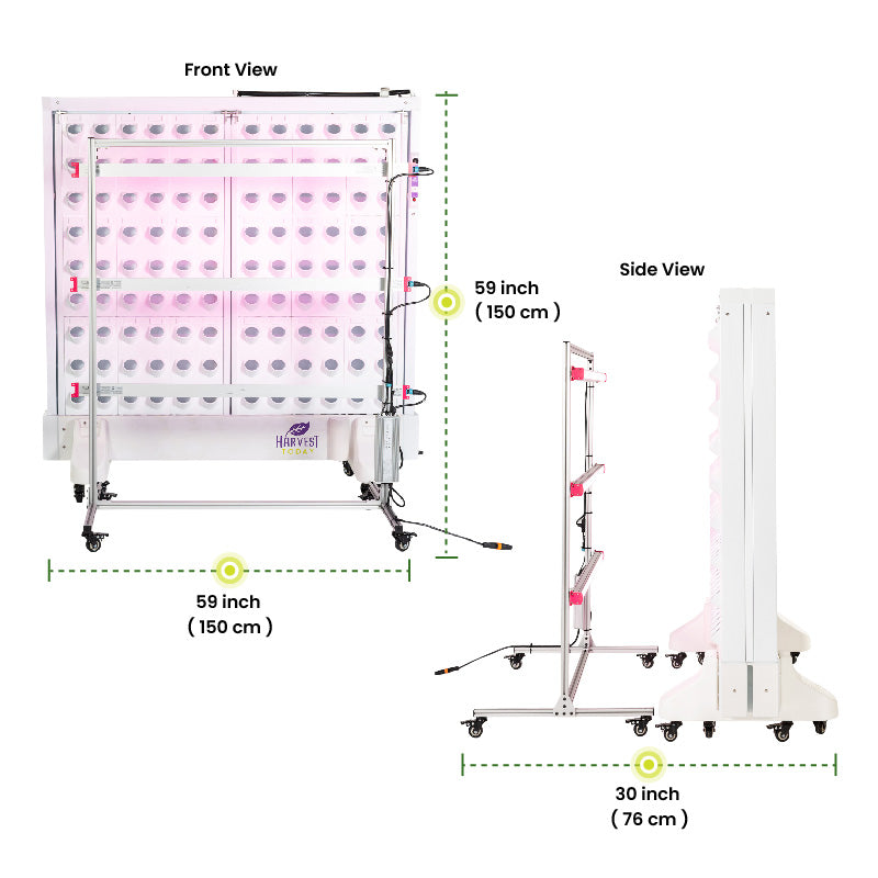 Harvest Wall For Home Double Panel with LED Lights