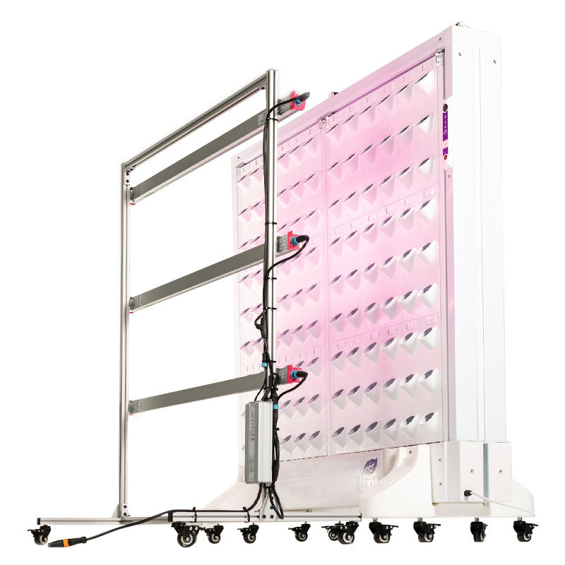 Harvest Wall For Home Double Panel with LED Lights