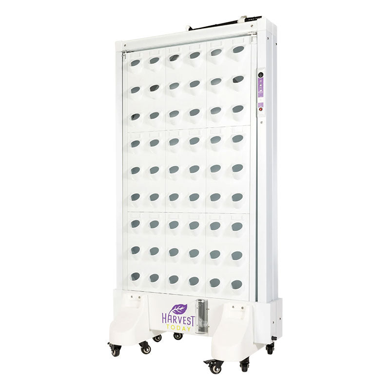 Harvest Wall For Home Single Panel with LED Lights