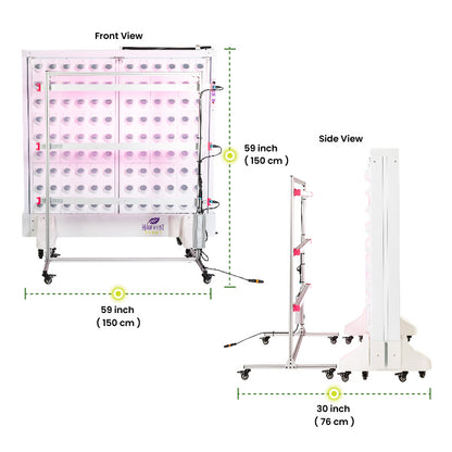 Harvest Wall For Home Double Panel with LED Lights