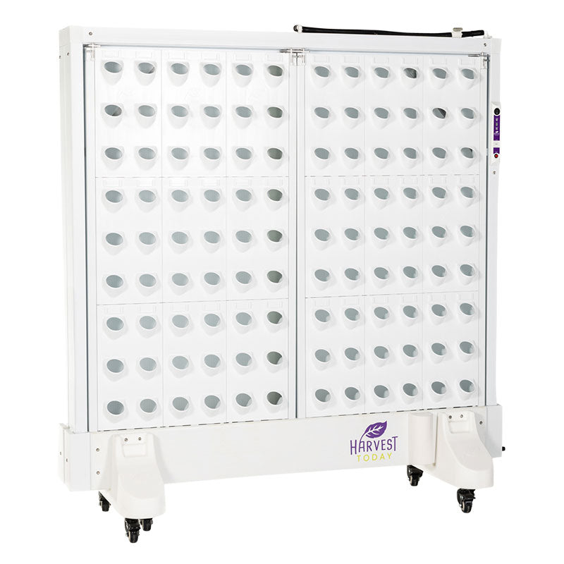 Harvest Wall For Home Double Panel with LED Lights