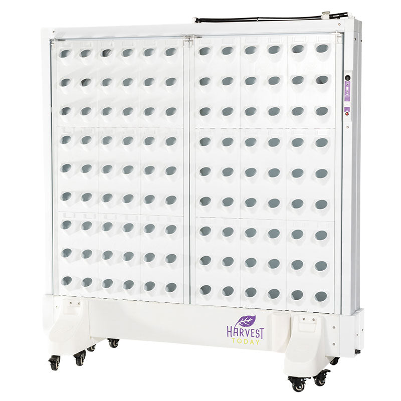 Harvest Wall For Home Double Panel with LED Lights