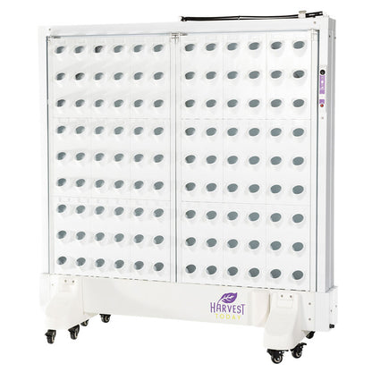 Harvest Wall For Home Double Panel with LED Lights