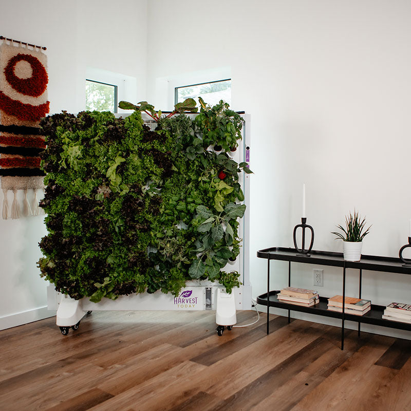 Harvest Wall For Home Double Panel with LED Lights