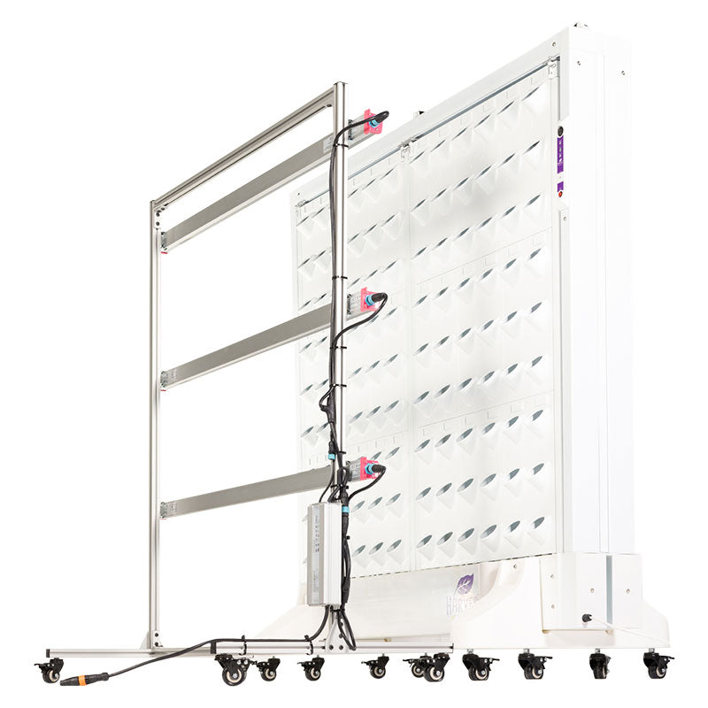 Harvest Wall For Home Double Panel with LED Lights