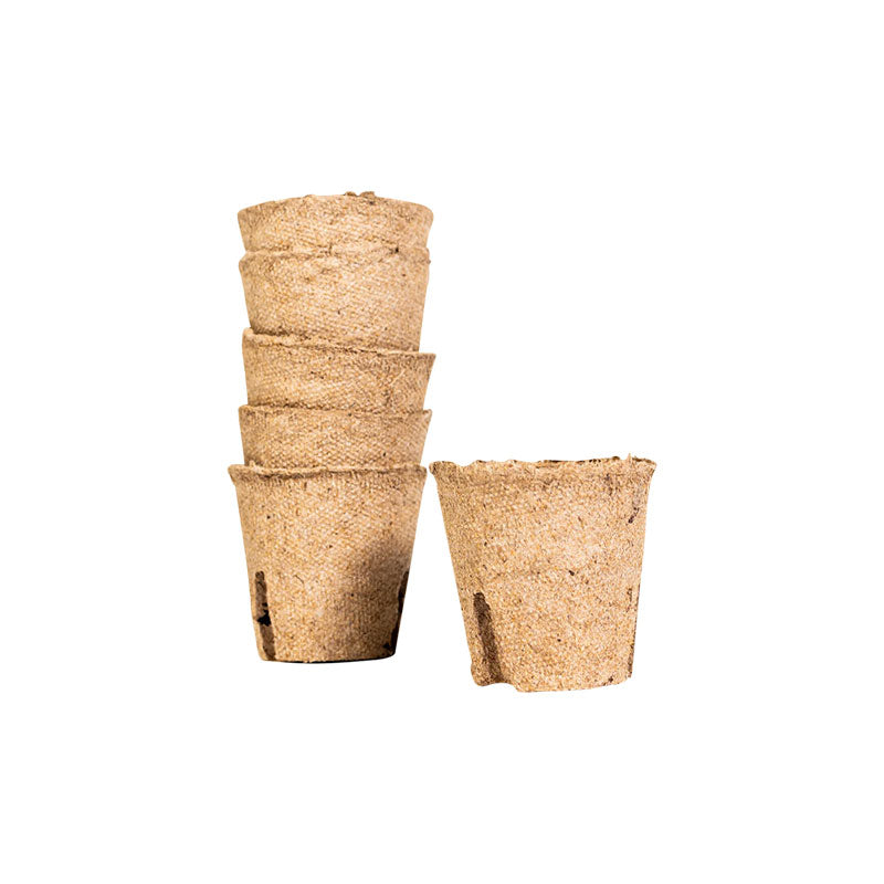 Harvest Wall For Home Double Panel with LED Lights