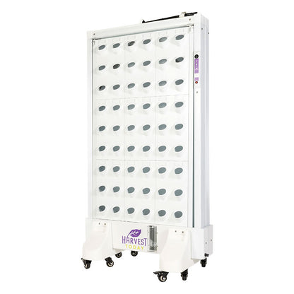 Harvest Wall For Home Single Panel with LED Lights