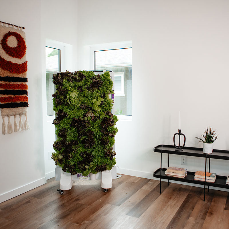 Harvest Wall For Home Single Panel with LED Lights