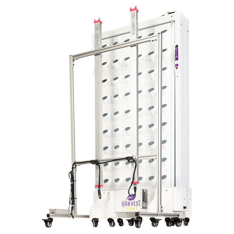 Harvest Wall For Home Single Panel with LED Lights