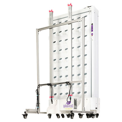 Harvest Wall For Home Single Panel with LED Lights