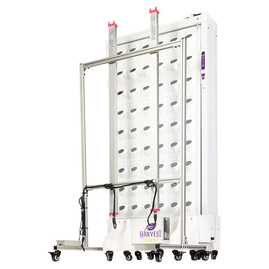 Harvest Wall For Home Single Panel with LED Lights