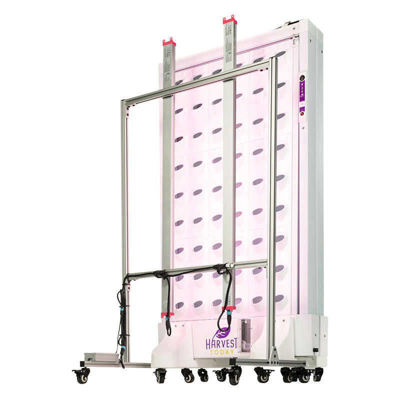 Harvest Wall For Home Single Panel with LED Lights